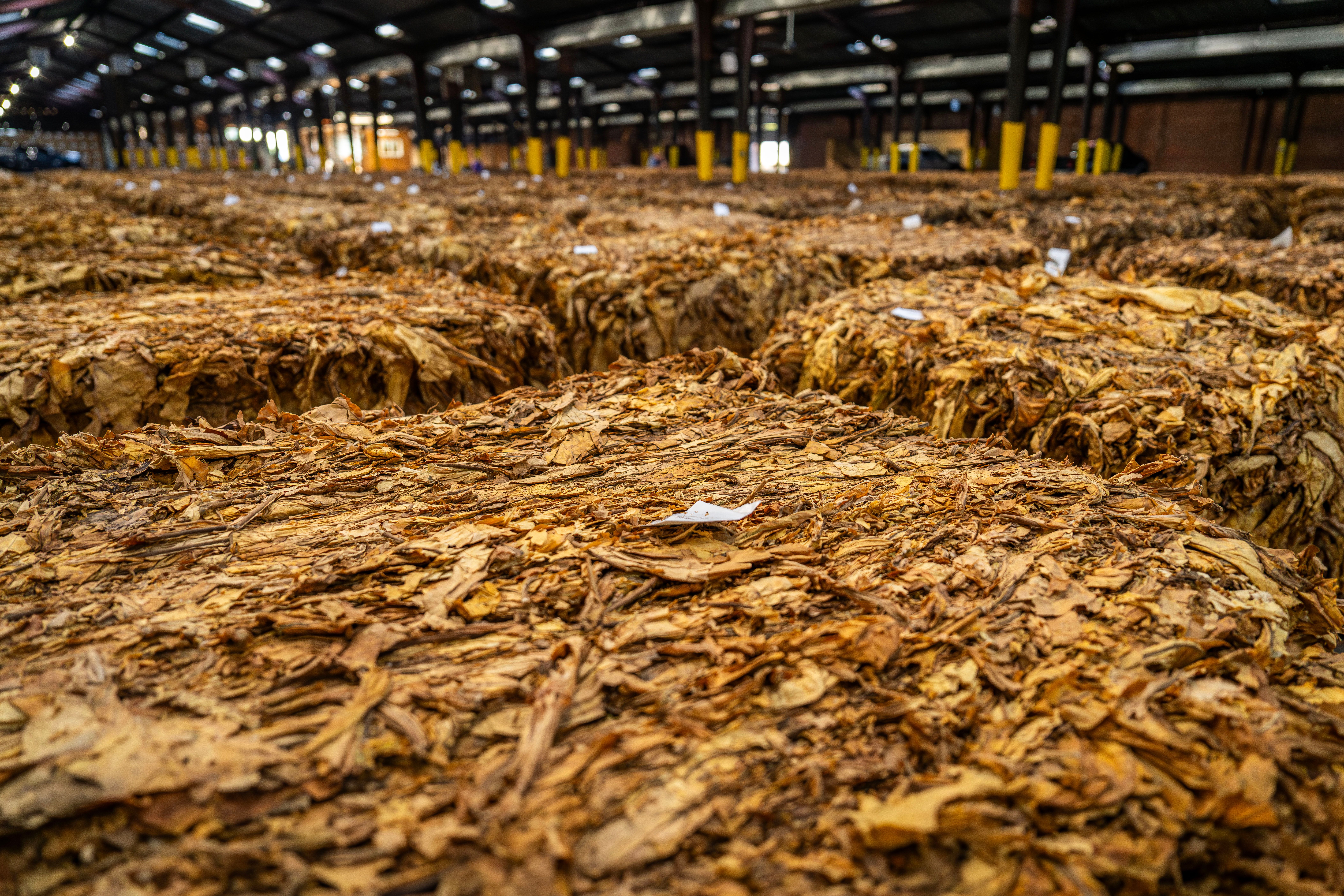 Big Tobacco Playbook vs. Meta? Social Media's Multi-Billion Reckoning